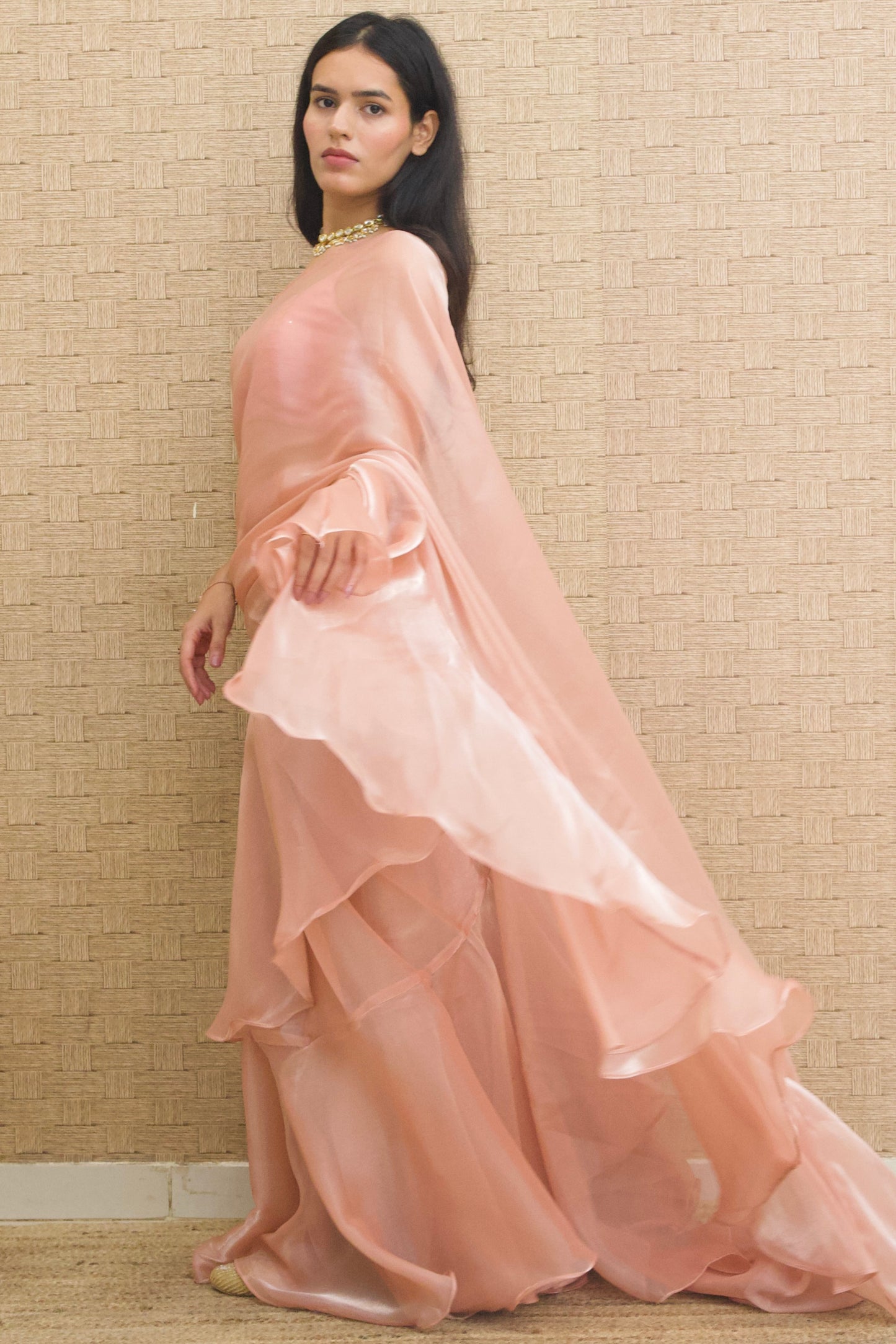 Blush Pink Organza Ruffle Saree