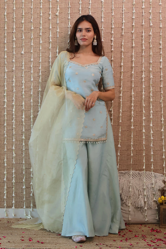 Powder Blue Embroidered Sharara Set