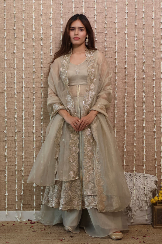 Rangrez Tissue Embroidered Anarkali Set
