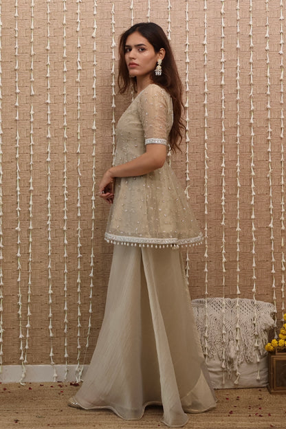 Sitara Tissue Embroidered Sharara Set