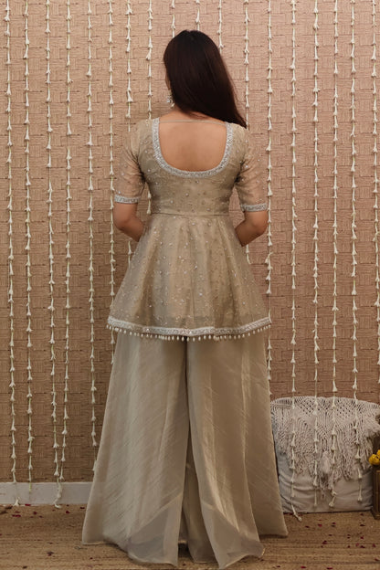 Sitara Tissue Embroidered Sharara Set