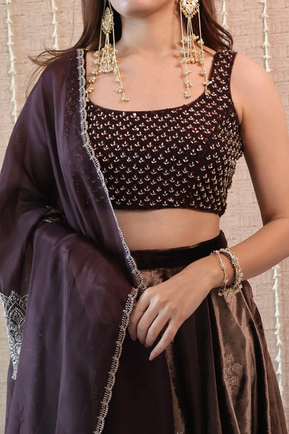 Coffee Brown Velvet Embroidered Lehenga set