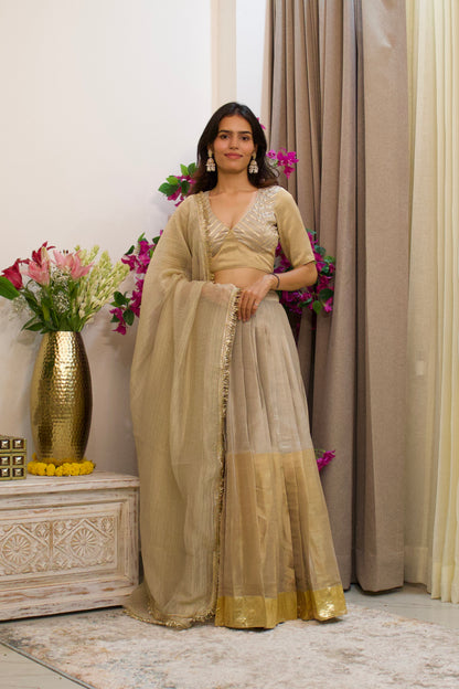Silver and Gold Tissue Lehenga Set
