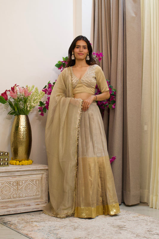 Silver and Gold Tissue Lehenga Set