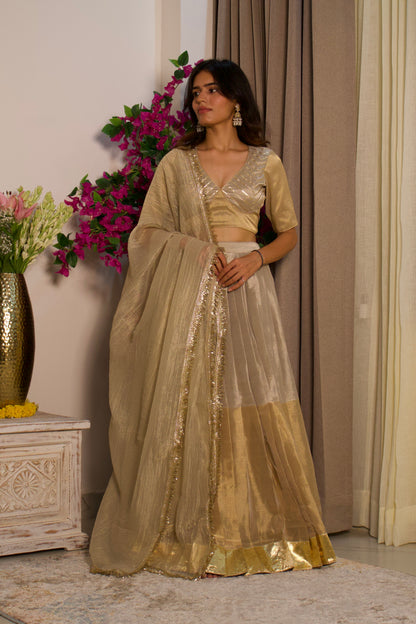 Silver and Gold Tissue Lehenga Set