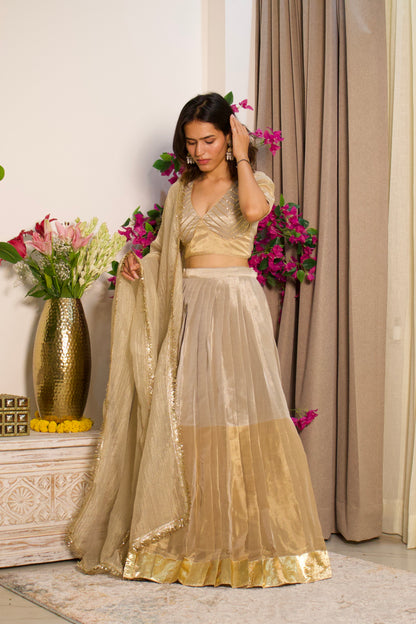 Silver and Gold Tissue Lehenga Set